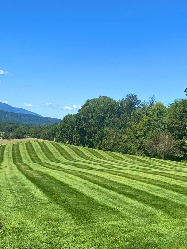 freshly cut and striped lawn