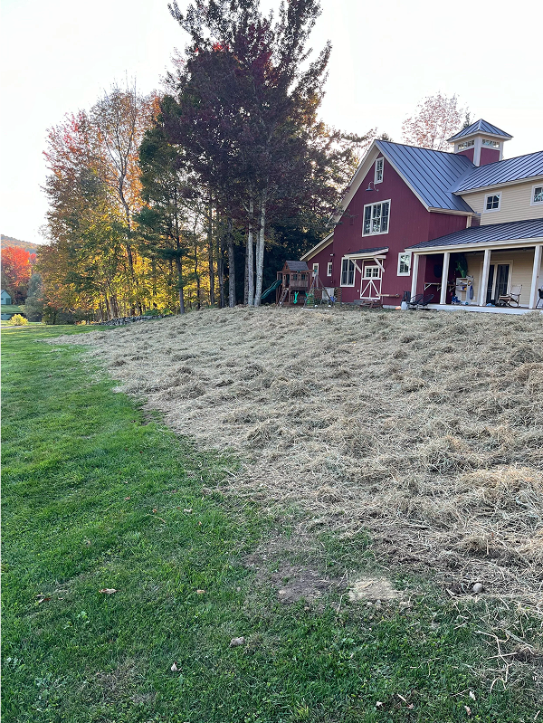 fresh grass laid in front of red house
