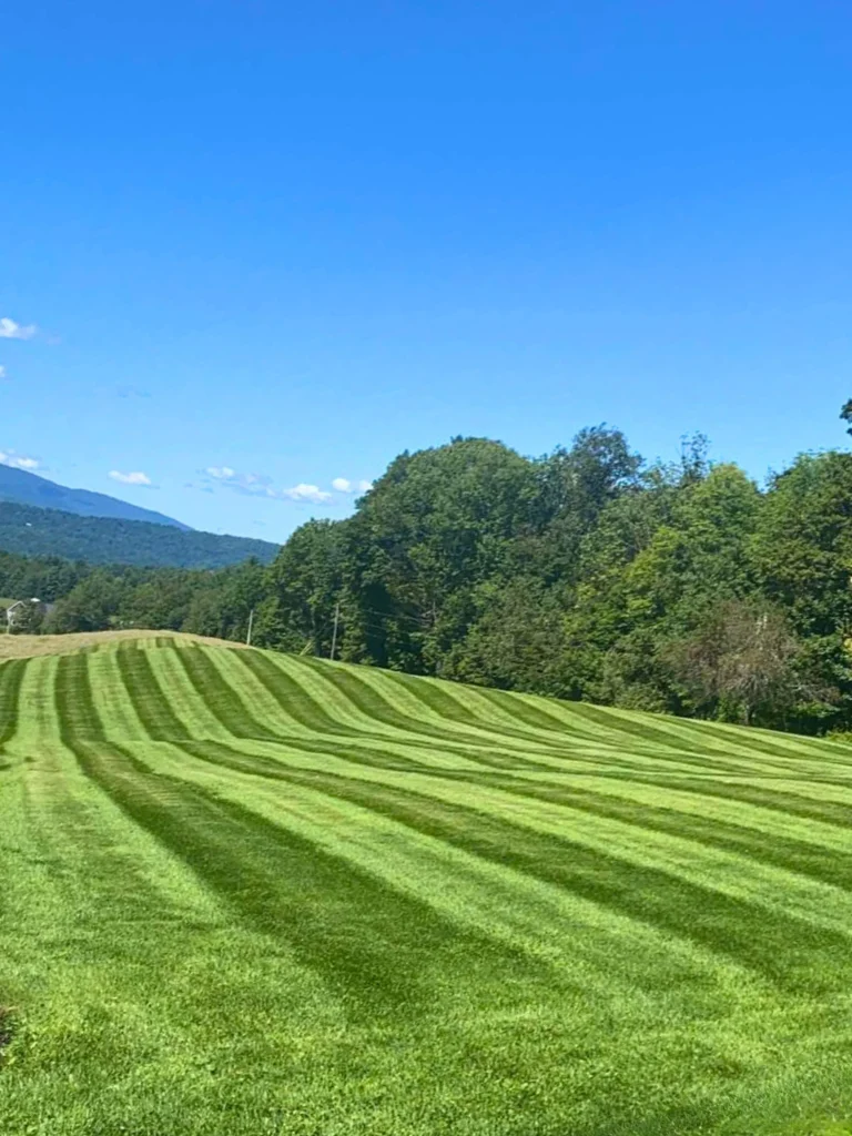 A neatly mowed grassy field with alternating light and dark green stripes, surrounded by trees and hills under a clear blue sky.