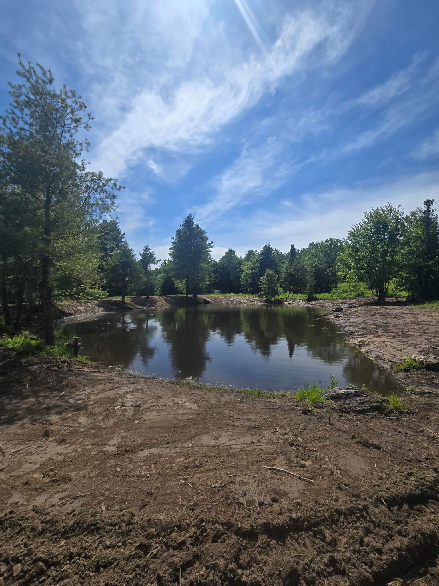 newly excavated pond